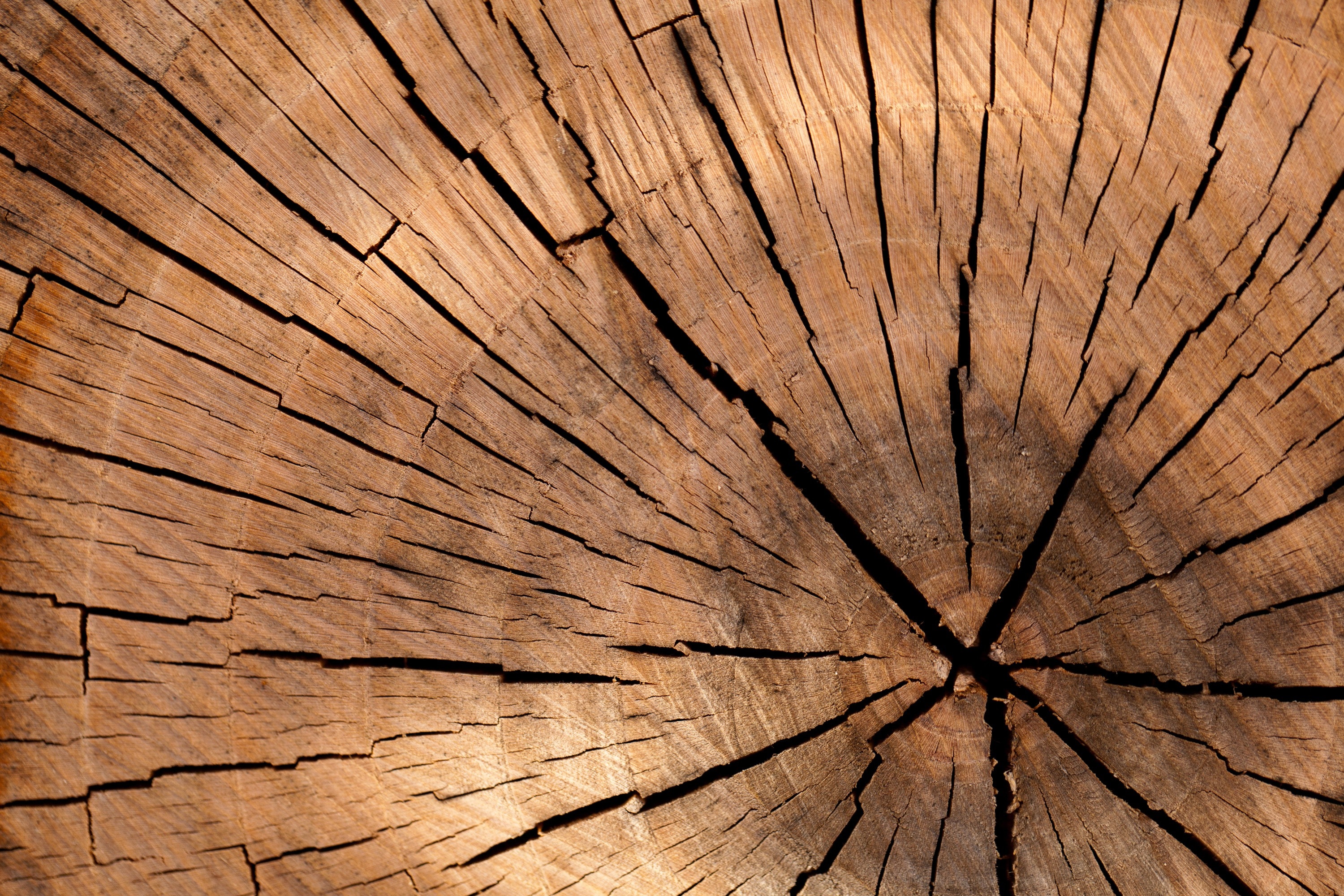 Vật liệu xây dựng gỗ: Gỗ là một vật liệu xây dựng rất thông dụng, đem lại tính thẩm mỹ và bền vững cho các công trình. Với sự đa dạng về loại cây và kiểu nội thất, gỗ có thể được sử dụng để tạo ra những sản phẩm độc đáo, tinh tế và tiết kiệm chi phí.
